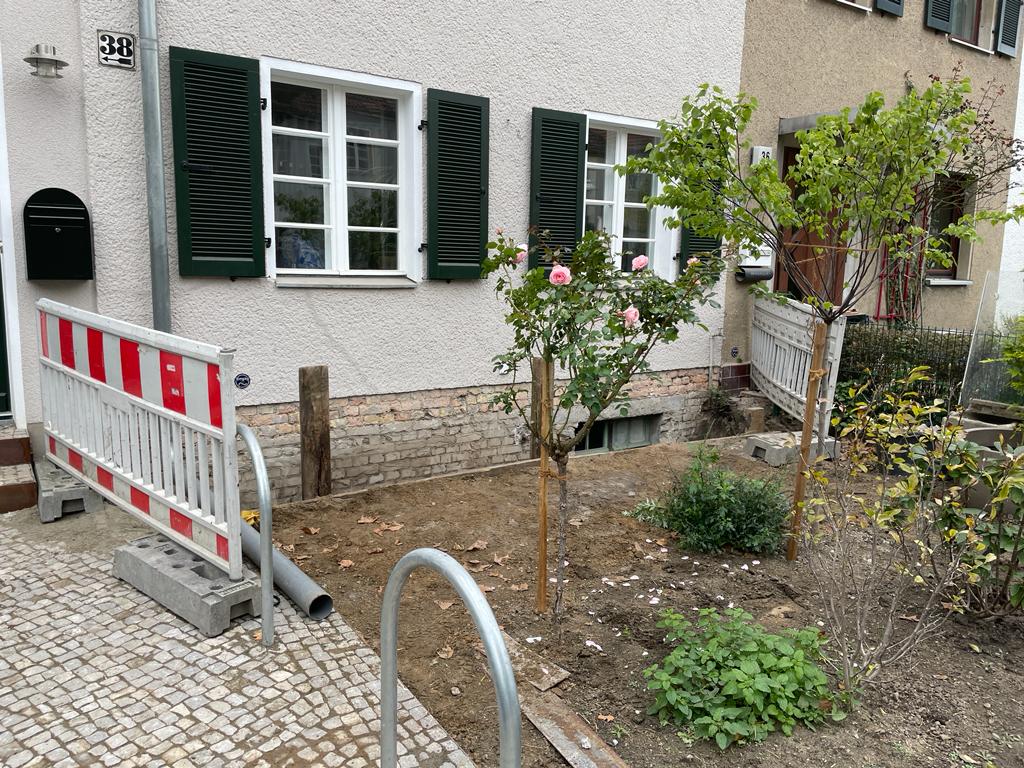 01 Freilegen.jpg